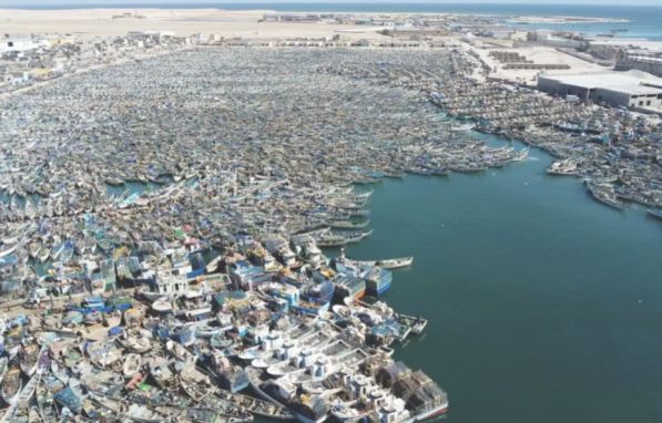 وزارة الصيد تكشف جدول استئناف أنشطة الصيد خلال يوليو